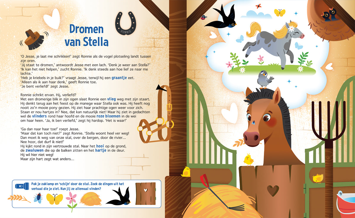 Zaklampboek - Speuren naar paarden