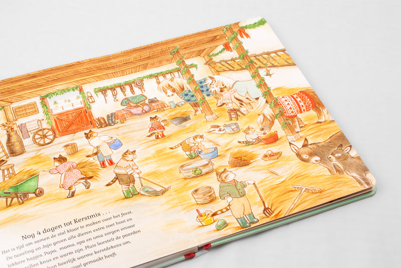 Adventsboek - Familie Kat viert samen Kerstmis