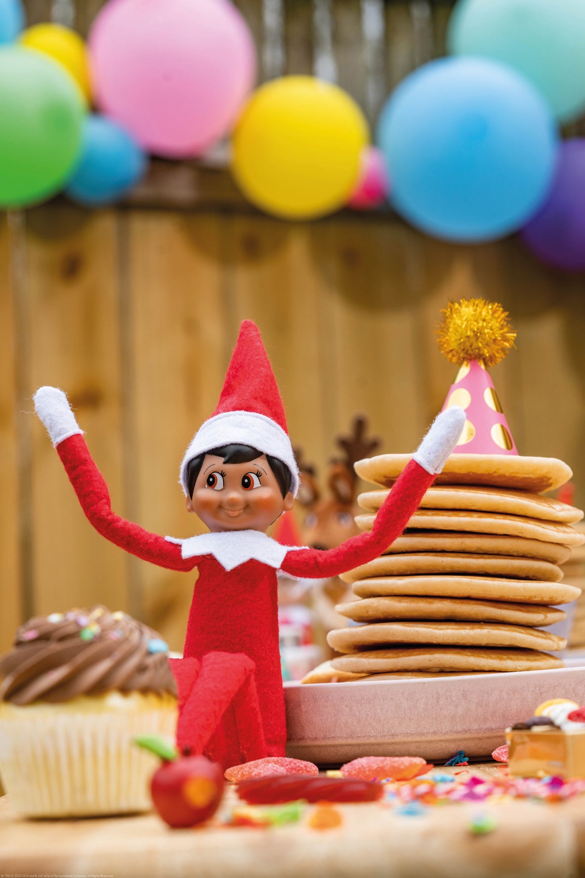The elf on the shelf - Jongen met boek Nederlandstalig