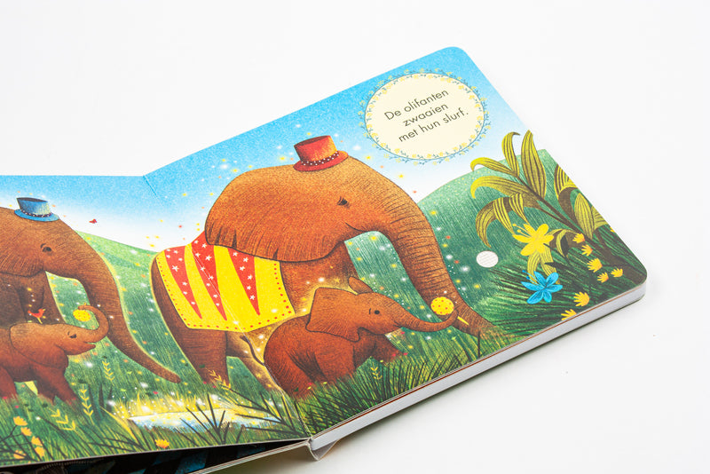 Het kleine verhalen orkest | Carnaval der dieren | Muziekboek