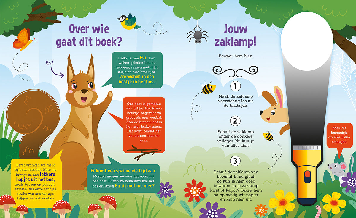 Zaklampboek | Speuren in het bos | Zoekboek