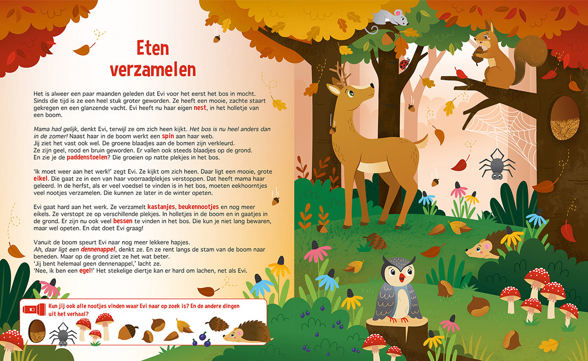 Zaklampboek | Speuren in het bos | Zoekboek