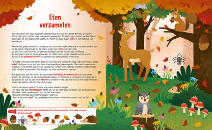 Zaklampboek | Speuren in het bos | Zoekboek