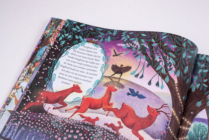 Het verhalen orkest - Het zwanenmeer