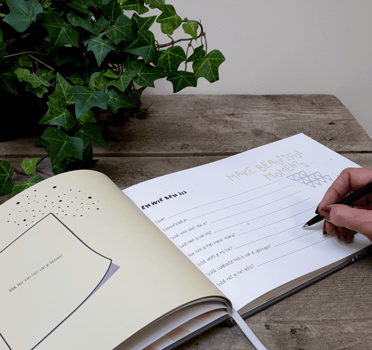 Kraambezoekboek | Hoera! Bezoek voor je kleintje