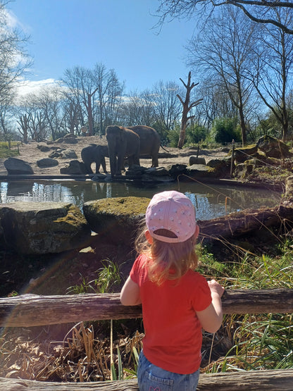 Pet voor baby & kind | tulip | roze