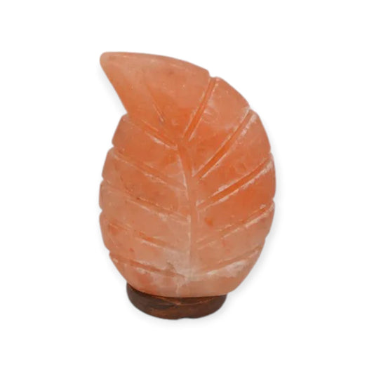 Himalaya Zoutsteen | Zoutlamp | Blad oranje